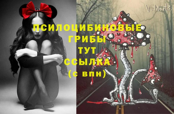 тгк Козловка