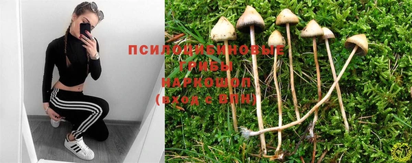 тгк Козловка