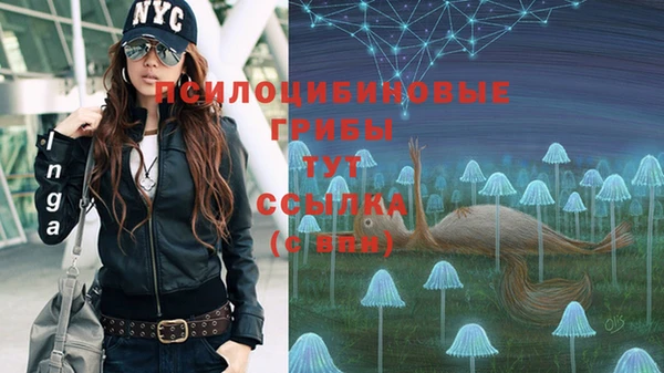 герыч Кодинск