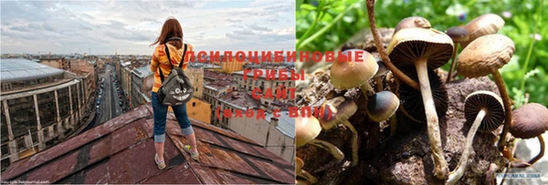 кокаин колумбия Козельск
